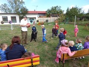 Sorbon - pes fotbalista